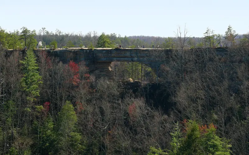 Natural Bridge KY-27527-3